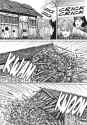 uzumaki-507