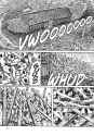 uzumaki-508