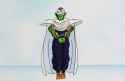 Piccolo pretty please