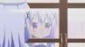 Chino(1488)