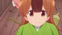 angry tanuki
