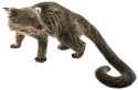 5txinc4ebh_bearcat2_WW_Summer2020