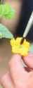 hand-pollination-melons