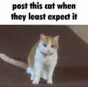 1749057781227013