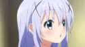 Chino(335)