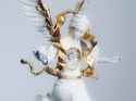 taku_012-1930843657588052109-img2