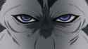 chad stare