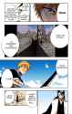 bleach-c161p5