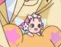 hachan