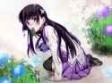 37a599c18f2c32d1a83aa0bafe4b57fc