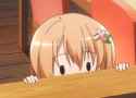 cocoa peek