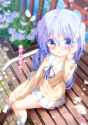 Chino(1)