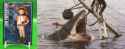 Grander Musashi JAWS