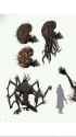 Amygdala 2