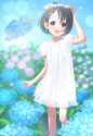 482a777463fd2326f49b23ac7409e0a1