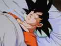 HD SLEEPku