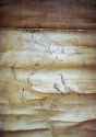 Hakutaku.a.k.a.Bai.Ze.detail.of.painting.working.print.01