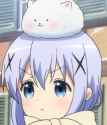 chino is PISSED
