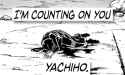 Counting on Yacchi