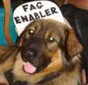 fag enabler