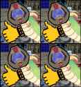 303 KB