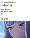 235 KB