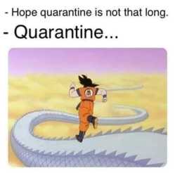 26 KB