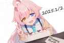 249 KB