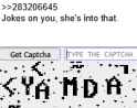 5 KB