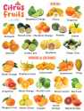 Citrus-Fruits.jpg