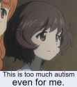 too autistic.jpg