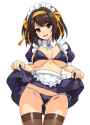 bikini maid Haruhi.png