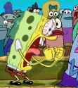 521 KB