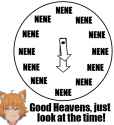 41 KB