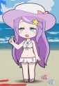 231 KB
