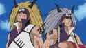 1.6 MB