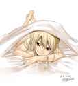 86 KB