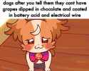 282 KB