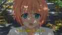 311 KB