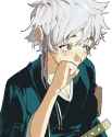 2.21 MB