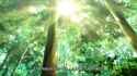 2.8 MB