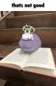 212 KB