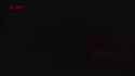 1.69 MB