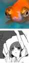 626 KB