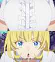 1.01 MB