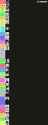 619 KB