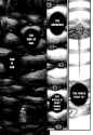129 KB
