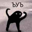 75 KB