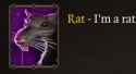 45 KB