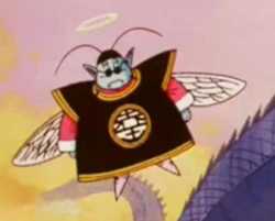 155 KB